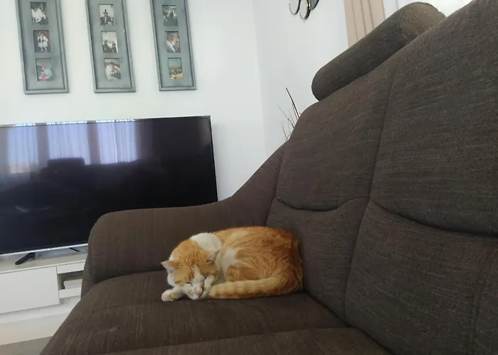 Juric Apartmán Trogir